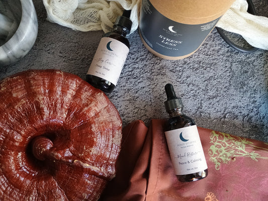 Reishi and herbs for learning education
