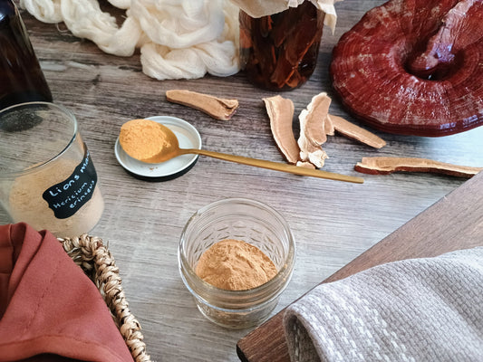 medicinal mushrooms health benefits
