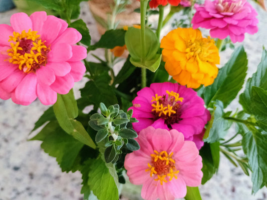 Flowers