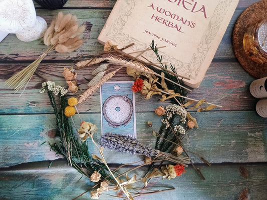 Herbal Womb Care: Nourishment, Cycles, and the Sacred Center