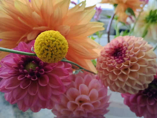 Spring flowers