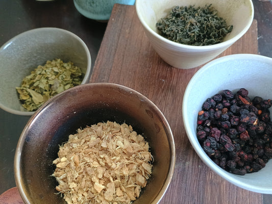 Dried herbs to study in beginners' herbalism