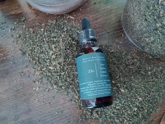 A small amber glass dropper bottle with a dark teal label reading 'Root to Bone Herbs' and 'Zhi', placed on a wooden surface surrounded by loose dried herbs.