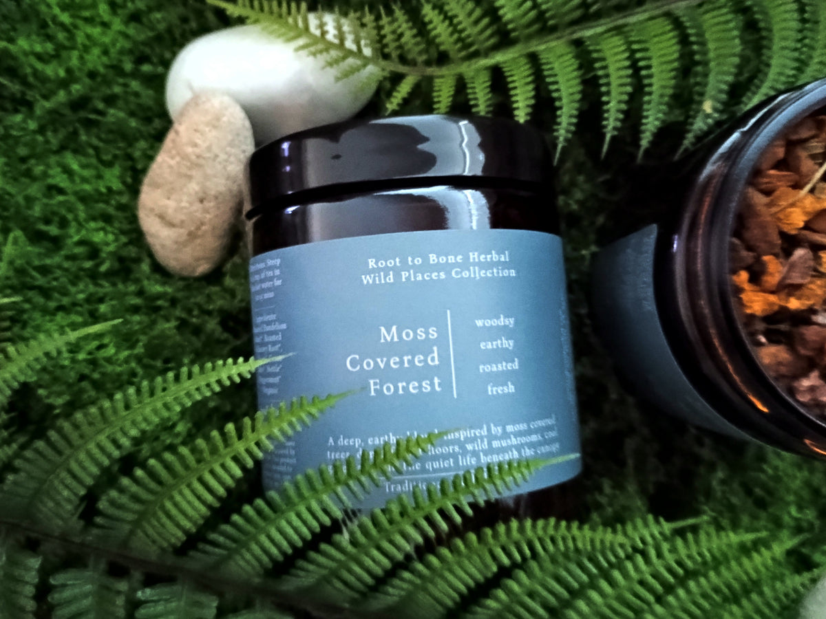 A jar of Root to Root Herbal 'Moss Covered Forest' wild place collection tea, styled with green moss, ferns, and small stones next to an open jar showing the loose herbal blend.