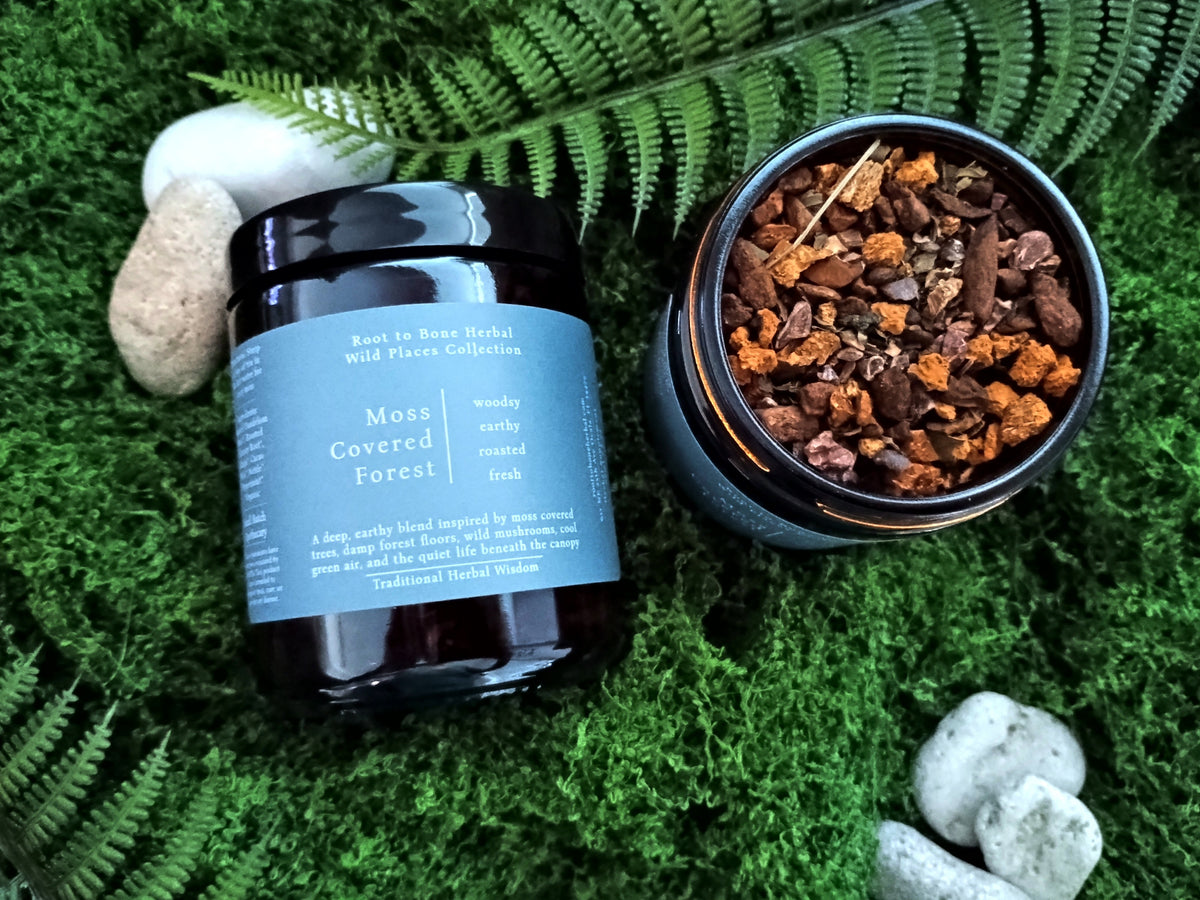 Two dark amber glass jars of Root to Bone herbal wild places collections 'Moss Covered Forest' loose leaf tea, one open to show the textured herbs inside and one closed with a light blue label, styled on green moss with white stones and fern leaves.