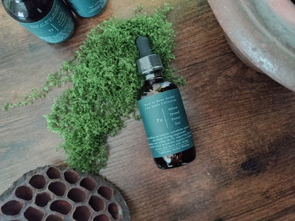 A dark amber glass dropper bottle with a teal label lies on a rustic wooden surface, surrounded by green moss, a dried lotus pod, and other matching bottles in the background.