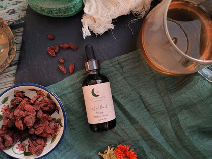 Bottle of tincture with dried herbs on a textured surface