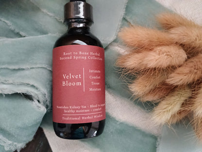 A dark amber glass bottle with a black cap and a dusty rose label reading 'Velvet Bloom' from the 'Root to Bone Herbal Second Spring Collection', styled on a textured sage green fabric next to dried bunny tail grass.