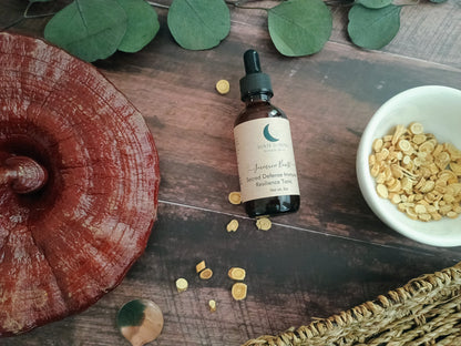 Sacred Defense- Immune Resilience Herbal Tonic with Astragalus and Reishi