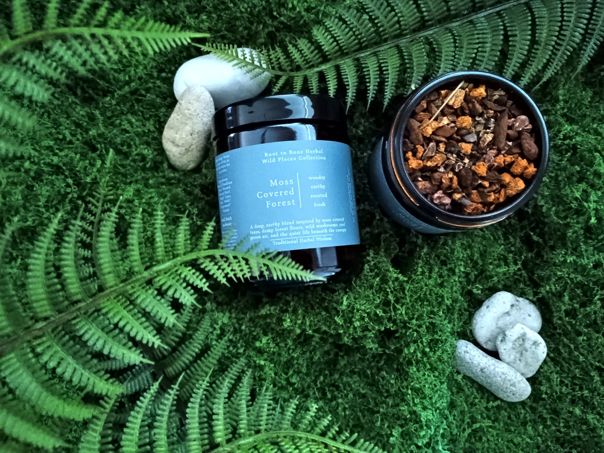 A jar of Moss Covered Forest loose leaf tea and a container of the roots and mushrooms are arranged on green moss with fern leaves and small stones. The label reads 'Moss Covered Forest'.