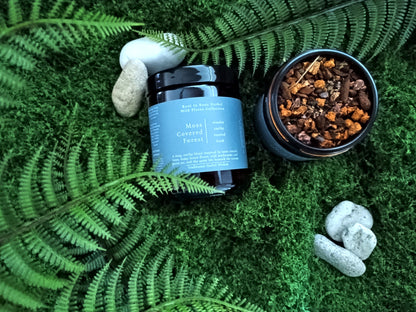 A jar of Moss Covered Forest loose leaf tea and a container of the roots and mushrooms are arranged on green moss with fern leaves and small stones. The label reads 'Moss Covered Forest'.