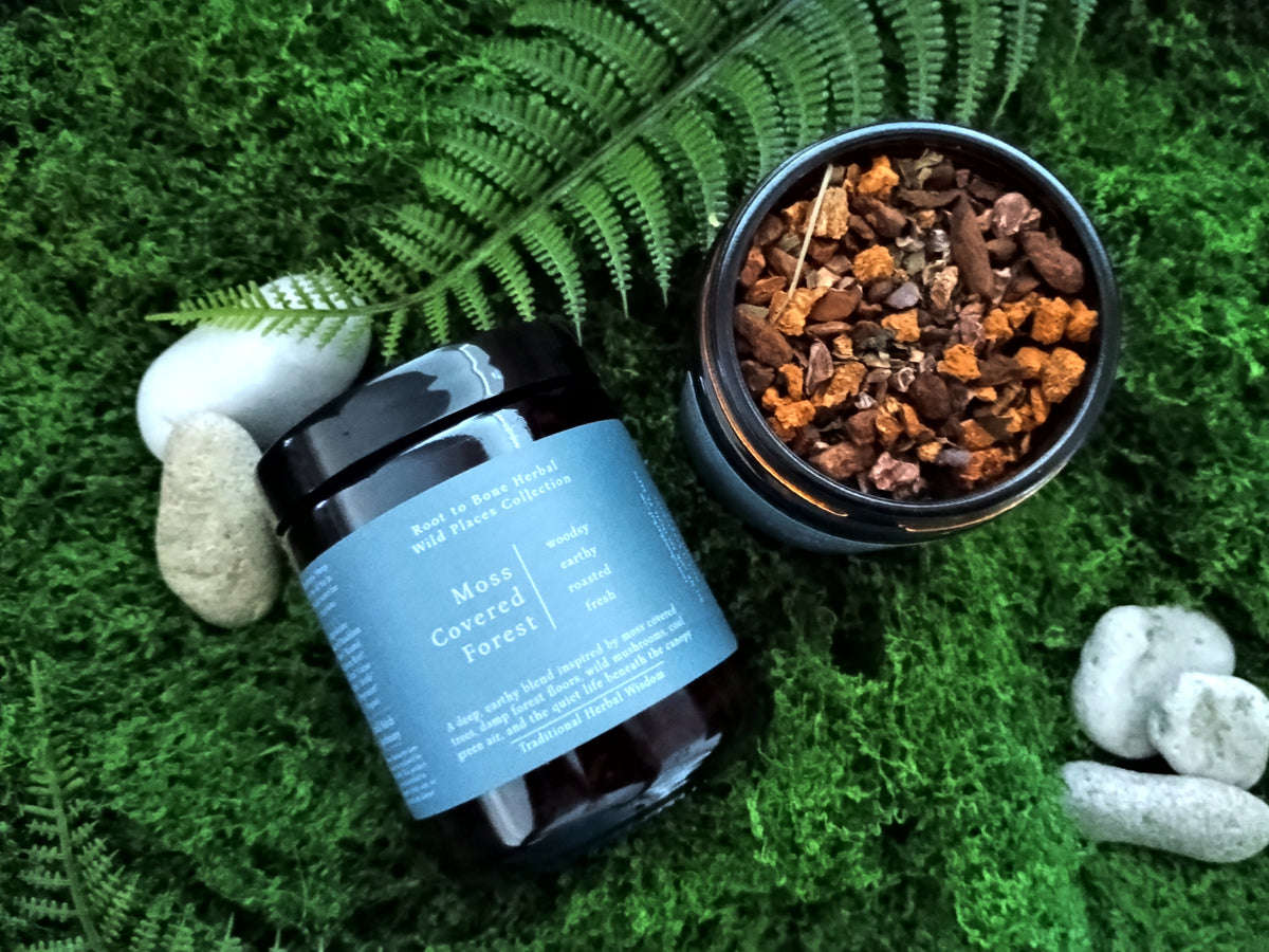 A dark amber jar of Wild places teas 'Moss Covered Forest' loose leaf tea with a blue label, displayed next to an open jar showing the brown and orange inside, set on a bed of green moss with decorative stones and a fern leaf.