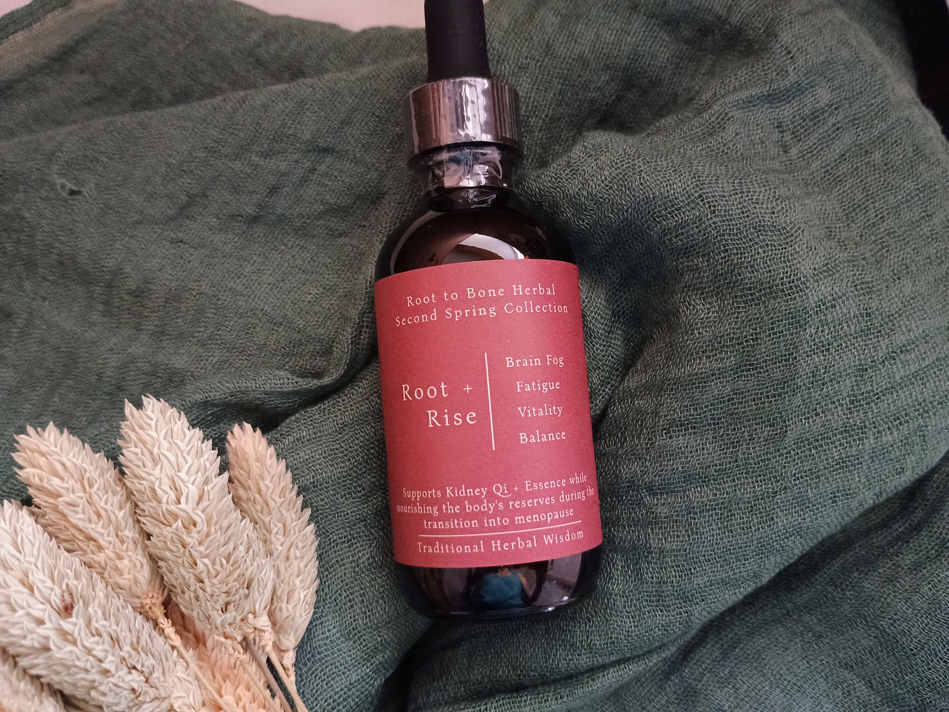 A dark amber glass dropper bottle with a black dropper top and a pink label reading 'Root + Rise' and 'Root to Bone Herbal Second Spring Collection,' styled on a textured dark green fabric with dried beige grasses at the side.