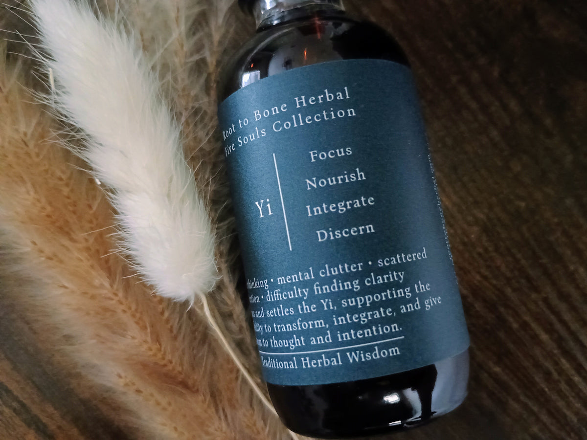 A dark amber glass bottle of Yi Tonic from Root to Bone Herbal Tincture Collection, featuring a slate blue label with white text, styled with dried pampas grass on a dark wooden surface.